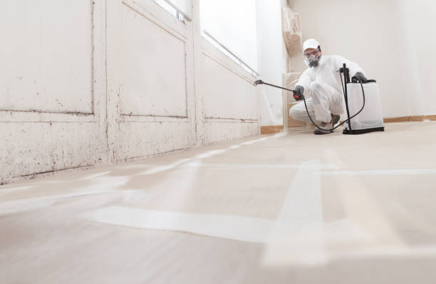 24/7 Emergency Basement Mold Remediation experts in White Plains, VA